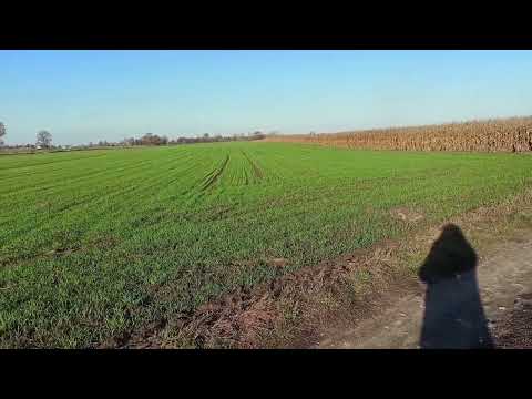 W cieniu dylematów, czyli proste sposoby na trudne sprawy. Odcinek 1 - Decyzje