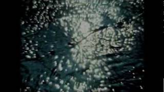 Antony and the Johnsons-Swanlights (OPN edit) Look﻿ only 720pHD