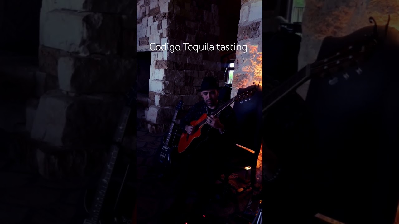 Promotional video thumbnail 2 for Raul Gabriel Music