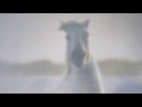 MILJON - WHAT DOES IT TAKE