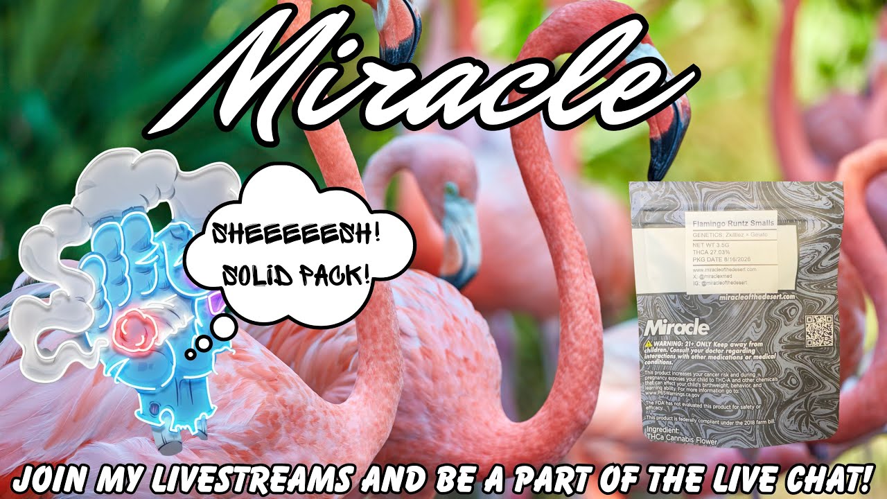 HOW IS THIS FLAMINGO RUNTZ FROM MIRACLE OF THE DESERT?!