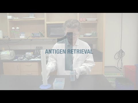 Better IHC Step 1: Antigen Retrieval