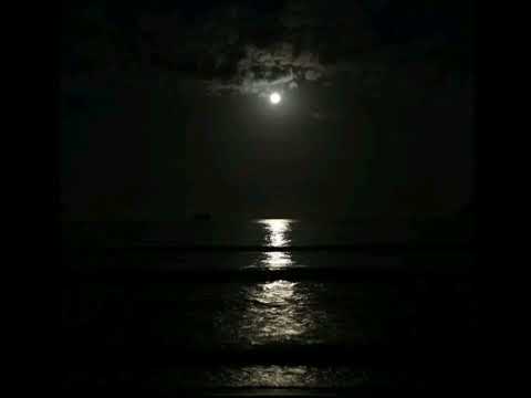 trxy! - realize (slowed + reverb)