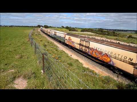 SCT Logistics Action in the Adelaide Hills 1PM9 - 6 locos and 3MA9 with 4 CSRs 31/08/22