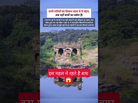 जंगलों में छिपा रहस्यमयी महल Ranthambore Fort #history #facts #heritage