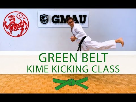 Shotokan Karate Class - 6th Kyu Green Belt - Kime Kicking Class thumbnail