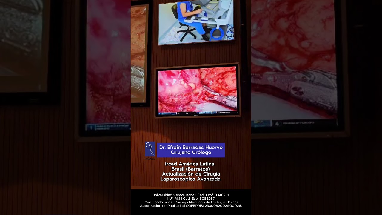 Efrain Barradas Huervo-49