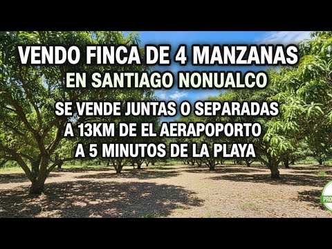 VENDO BONITA FINCA, EN SANTIAGO NONUALCO DEPARTAMENTO DE LA PAZ A 13KM DEL EROPUERTO INTERNACIONAL 🥳
