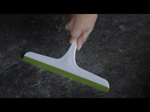 Car covered in dog hair? Remove it with this easy trick.