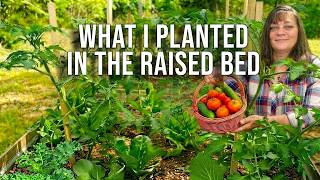 Planting Our Raised Beds in Mississippi  Tomatoes, Broccoli, Peppers and More!