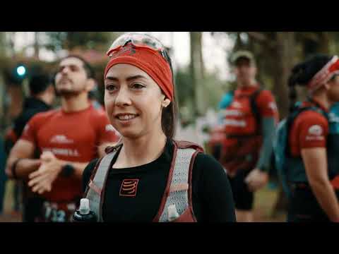 Los Cedrales - Alto Paraná 2024