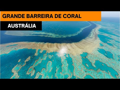 O Maior Sistema de Recife de Coral do Mundo!