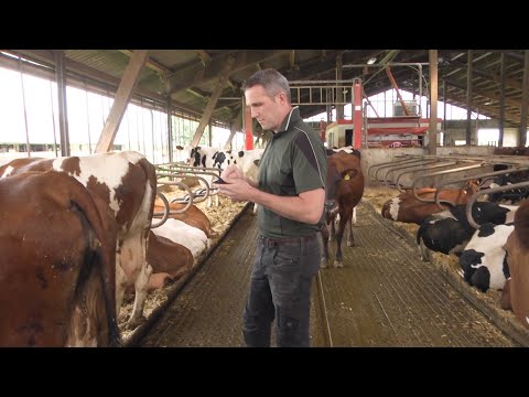 Landwirtschaft: Betrieb Thomsen aus Sterup, Ausbildungsbetrieb des Jahres 2023