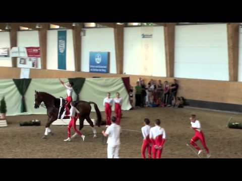 Bayerische Meisterschaften 2011 - Franken-Junior I (Kür 1).mov