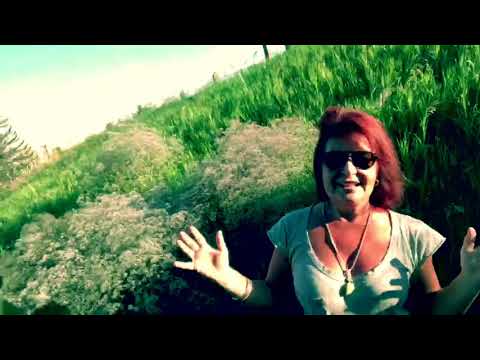 a Sunday stroll down a path.