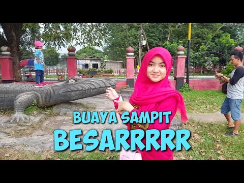 buaya-paling-besar-di-sampit