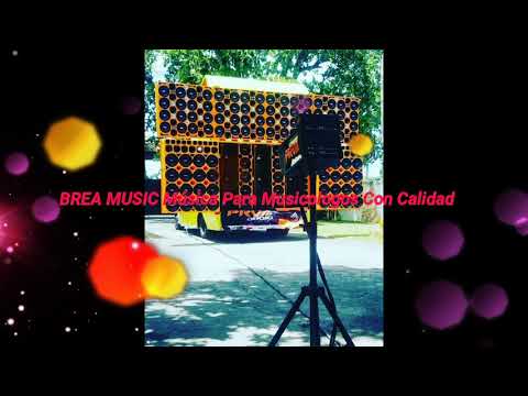 Kiko Rodriguez- vagabundo borracho y loco en vivo✔Para Musicologos🔥