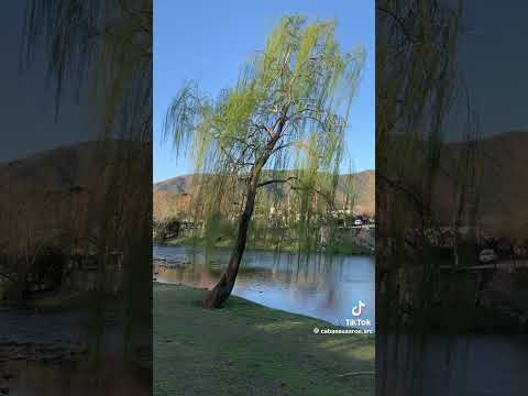 Conoces Santa rosa de calamuchita?