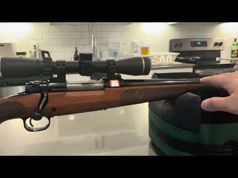 Ergonomics of Winchester 101