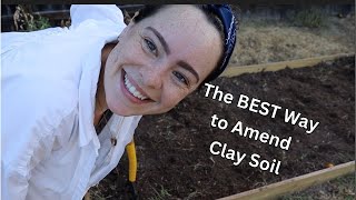 Unlocking the Secrets of Amending Clay Soil for a Thriving Garden | My Proven Techniques