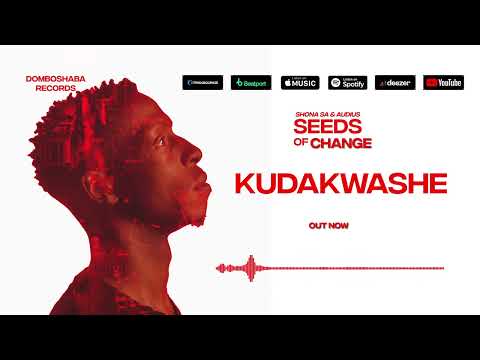 Shona SA & Audius - Kudakwashe (Cover)