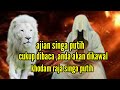Cukup Amalkan Ajian Singa Rajeh Anda Akan Didampingi Khodam Raja Singa Putih