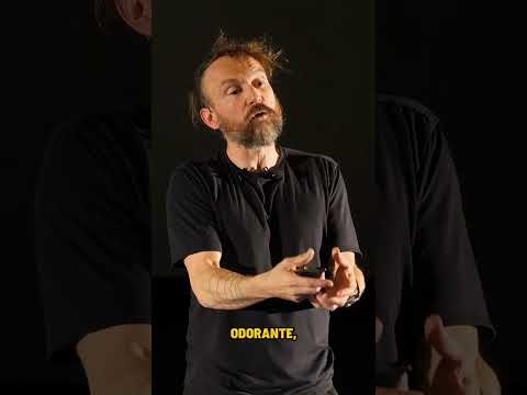 Play Video Youtube Video