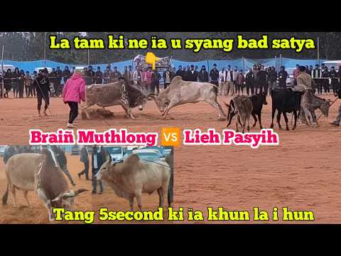 Lieh bad u Braiñ ïa tur masi La I hun/U lieh u wan hi u Dung hi u krad hi😃Lieh pasyih 🆚Braiñ/2026