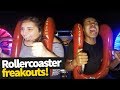 Hilarious Rollercoaster Moments Funny Reactions And Fails