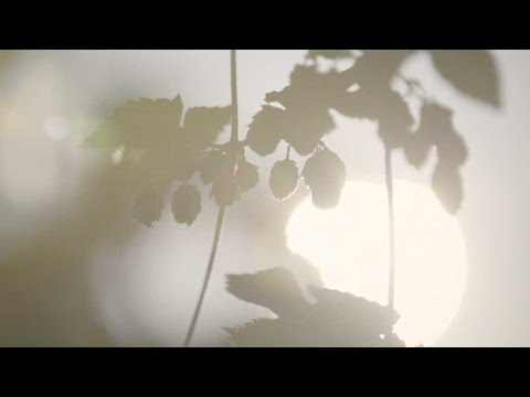 Deutscher Brauerbund // 500 Jahre Reinheitsgebot // Imagefilm