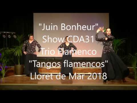 "Juin Bonheur" by CDA 31 - Show CDA31 - Trio Flamenco - Lloret de Mar 2018