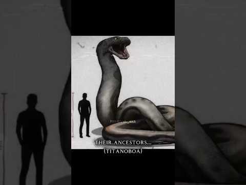 Animals today vs their ancestors... #prehistoric #animals #extinct #ancestors #wildlife