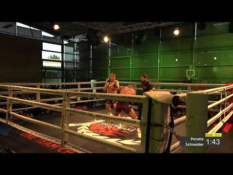 Schneider vs Peraira | One Team Championship 5 | Full Fight