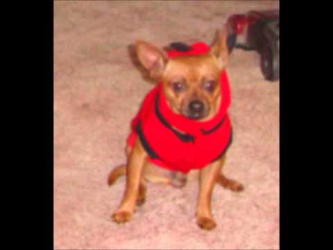 Product-G Feat. Dazer - Sickness