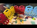 Chihuahua dogs for sale: Blue - Video 1