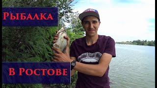 Рыбалка в ростове-на-дону и ростовской области