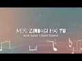 🎶 Meri Zindagi Hai Tu – Asim Azhar | Sabri Sisters | Full Lyrics Video - Love Vibes 💕
