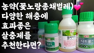 농약(꽃노랑총채벌레)