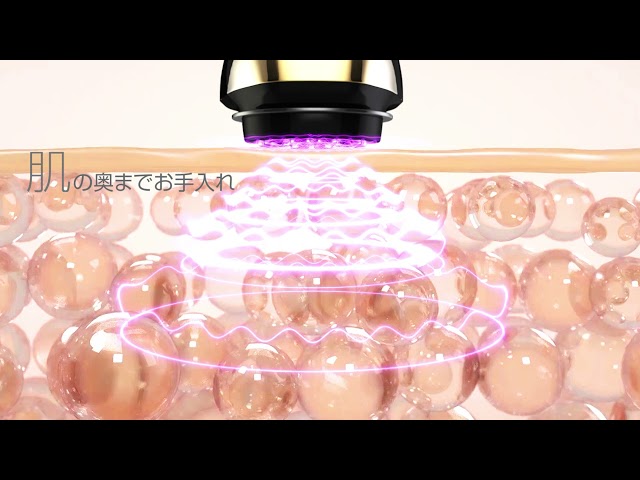 美容商品一覧|グローバルトレード株式会社 『美』と『健康』を 美容商品一覧|グローバルトレード株式会社 『美』と『健康』を