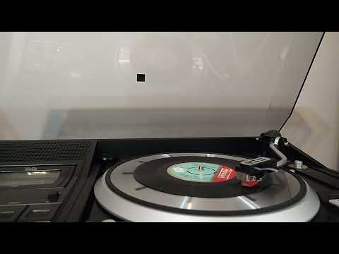 Hülya Ayar - Göze Geldi Aşkımız (Orijinal Plak Kayıt)