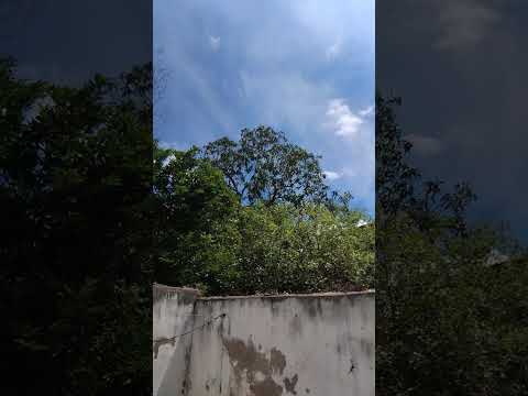 3 de abril de 2026 sol 🌞 Delmiro Gouveia Alagoas kkkkk