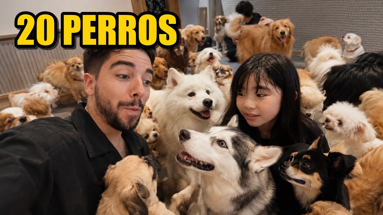 Entramos en un café con 20 perros en Japón… y se volvieron locos