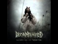 Decapitated - A View From A Hole