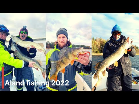 Išprotėjusios Alandų lydekos / Crazy pike fishing in Aland