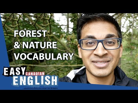 Nature Vocabulary in English | Easy English 9