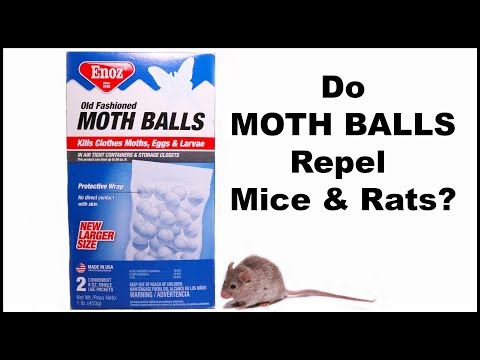 ✓ How To Use Homebright Original Moth Balls Review 