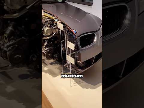 Losowe Fakty #4 Przecięte BMW