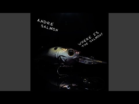 Where Is the Salmon?