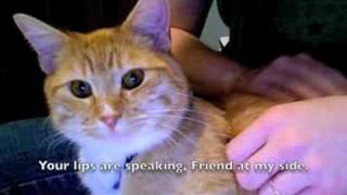 This Day God GIves Me