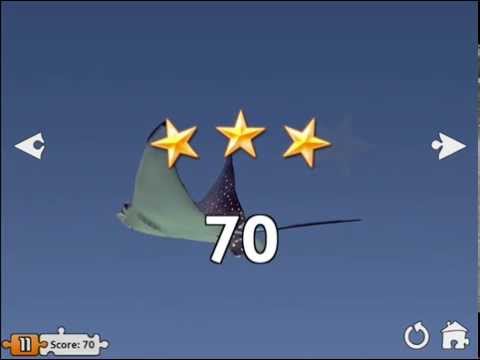 Shape Puzzles Pro - Assemble Video